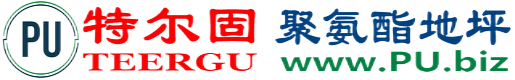 特尔固®邵阳聚氨酯地坪